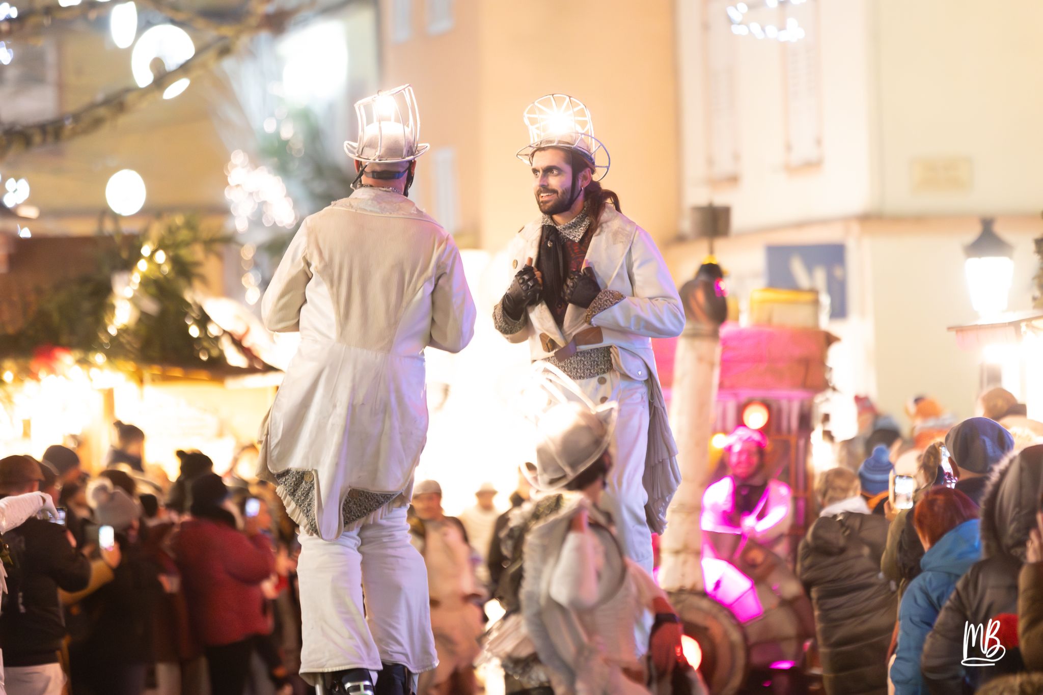 MB2024 CIE REMUE MENAGE(Gueule d'ours) (33 sur 107)